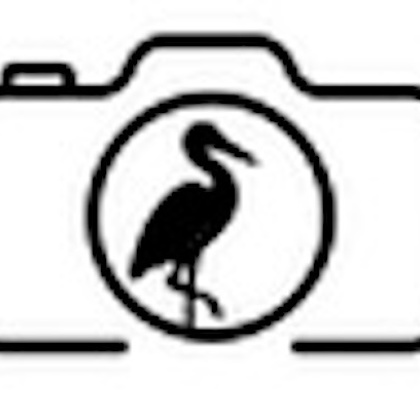 Photographer Diana Stork Stonington CT United States